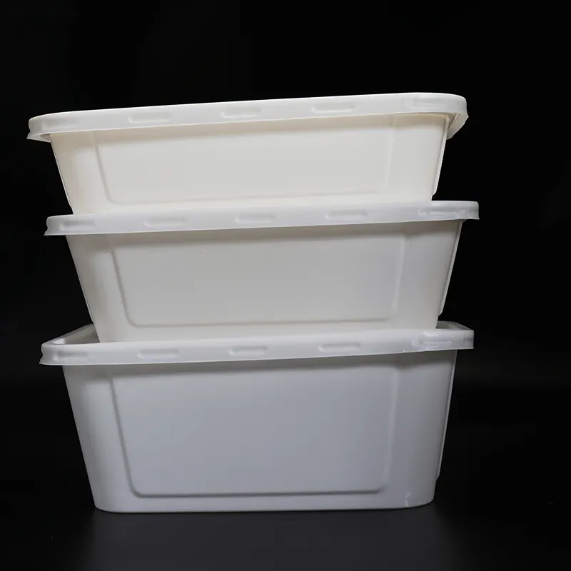 Caixas de almoço descartáveis transparentes de plástico dos pp branco com tampa