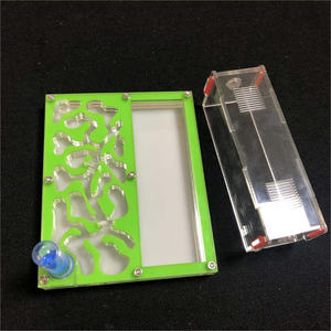 Granja de Hormigas de Gran Tamaño, Cuadrada, 20 x 15 x 1.5 cm, con Área de Forrajeo - Product Image 5