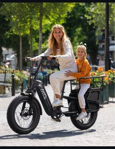Bici <span class=keywords><strong>Cargo</strong></span> <span class=keywords><strong>Elettrica</strong></span> Ibrida con Telaio in Alluminio EU, Sensore di Coppia, Coda Lunga per 2 Bambini, E-<span class=keywords><strong>bike</strong></span> da Pendolarismo Urbano 48V Litio - Product Image 3