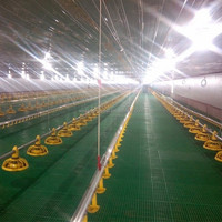 Système d'alimentation automatique pour volailles, mangeoire et abreuvoir de qualité supérieure pour poulets, en vente depuis la Chine