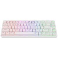 Compact 65 Percent Mechanical Gaming Keyboard 68 Keys RGB Hot Swap Gasket Kailh Red Switch Mechanical Keyboard