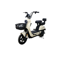 Sepeda Motor Listrik Murah Paige500w untuk Kota, Grosir Sepeda Motor Listrik 350w untuk Wanita Dewasa, Grosir Ebike Becak Kota