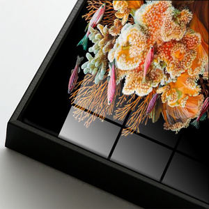 الحديثة نمط الحيوان الذهبي أسماك و المرجان الخزف المصنوع من الكريستال اللوحة خلفية سوداء اللون البرتقالي عالية لامعة ل جدار الفن - Product Image 4