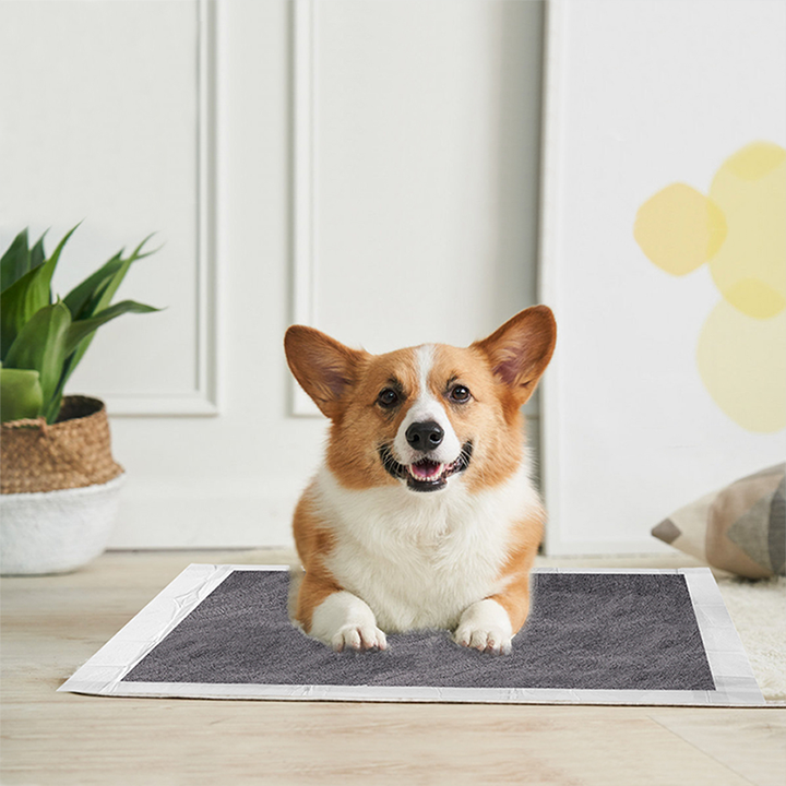 Biodegradable Nonwoven Bamboo Carbon Organic Disposable Potty Underpad