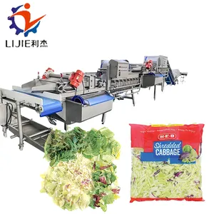 1000 KG Bagged salad leaves processing machine