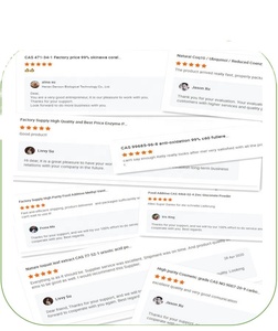 B2วิตามินไรโบฟลาวิน CAS 83-88-5 B2วิตามินไรโบฟลาวินโดยตรงจากโรงงาน98% - Product Image 6