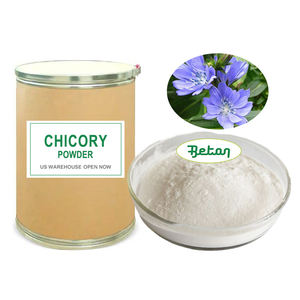 Extracto de Raíz de Cichorium (<span class=keywords><strong>Chicory</strong></span>) Liofilizado, Puro, Natural, Orgánico, <span class=keywords><strong>Instant</strong></span>áneo, en Polvo, Inulina, Grado Cosmético/Alimentario, al por Mayor - Product Image 2