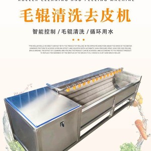 เครื่องปอกเปลือกและทำความสะอาดผักผลไม้ 380V แบบลูกกลิ้งรูปตัวยู สำหรับโรงงานแปรรูปมันฝรั่ง มันเทศ และหอยทาก - Product Image 5