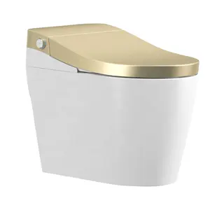 新款智能水厕金色金色彩色浴室自动智能马桶坐浴盆