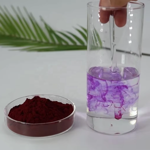 栄養強化食品グレード着色料 大根赤人参粉末 ベータカロチン・アントシアニン配合 - Product Image 2