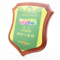 Trophée en verre personnalisé par sublimation, plaque en bois vierge de couleur marron, forme de bouclier en verre pour impression par transfert thermique