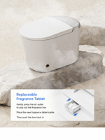 Toilette intelligente de luxe en gros OEM/ODM avec télécommande, chauffage instantané, bidet électrique intelligent pour salle de bain haut de gamme de complexe hôtelier