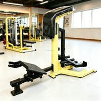 Équipement de musculation professionnel de haute qualité en acier pour salle de sport, machine à ramer inclinée commerciale