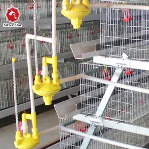 A type steel chick battery cages
