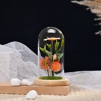 Mini plante verte en verre sur dôme, décoration de maison, micro-andscape, bureau, bureau