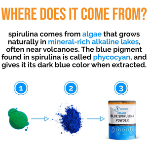Venta caliente Blue Spirulina Vitamin Powder Ayuda a apoyar el sistema inmunológico y aumentar el metabolismo y la digestión Iron Blue Spirulina Powder - Product Image 4