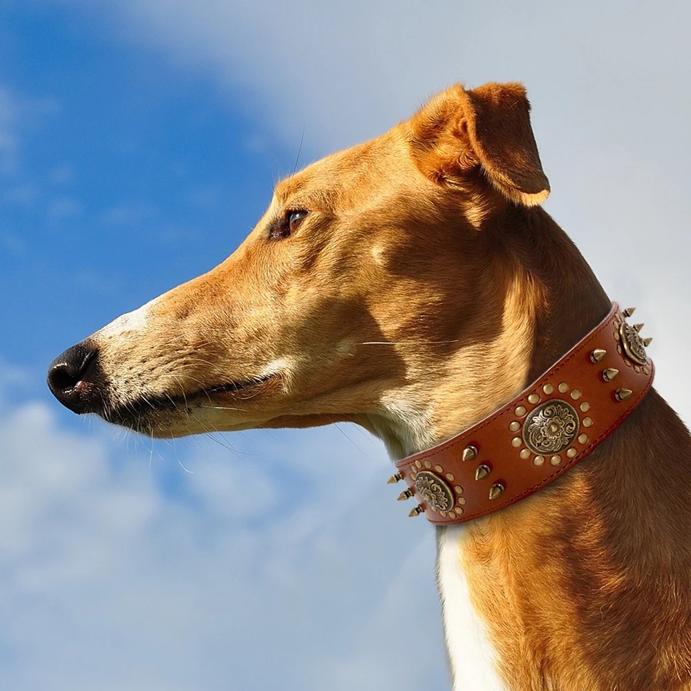 Hundehalsband Mit Nieten – Kunstleder, 3 Cm Breit, Verstellbar, Für Große Hunde