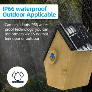 Casa Incubadora de Aves de Madera Transparente con Energía Solar, Reloj Monitor, Nido de Aves, Incubación en Tiempo Real, Casa Inteligente para Aves con Cámara - Product Image 3