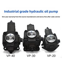 Pompa Oli Vane Variabel Hidraulik VP-20-FA3/40 08/12 Model Tankmotor Unit Perakitan Cina Daratan