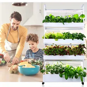 2024 ev bahçe topraksız sistem kitleri ile çocuklar yetişkin eğitim için bitki yetiştirme lambaları mutfak akıllı kapalı hidro sistemi