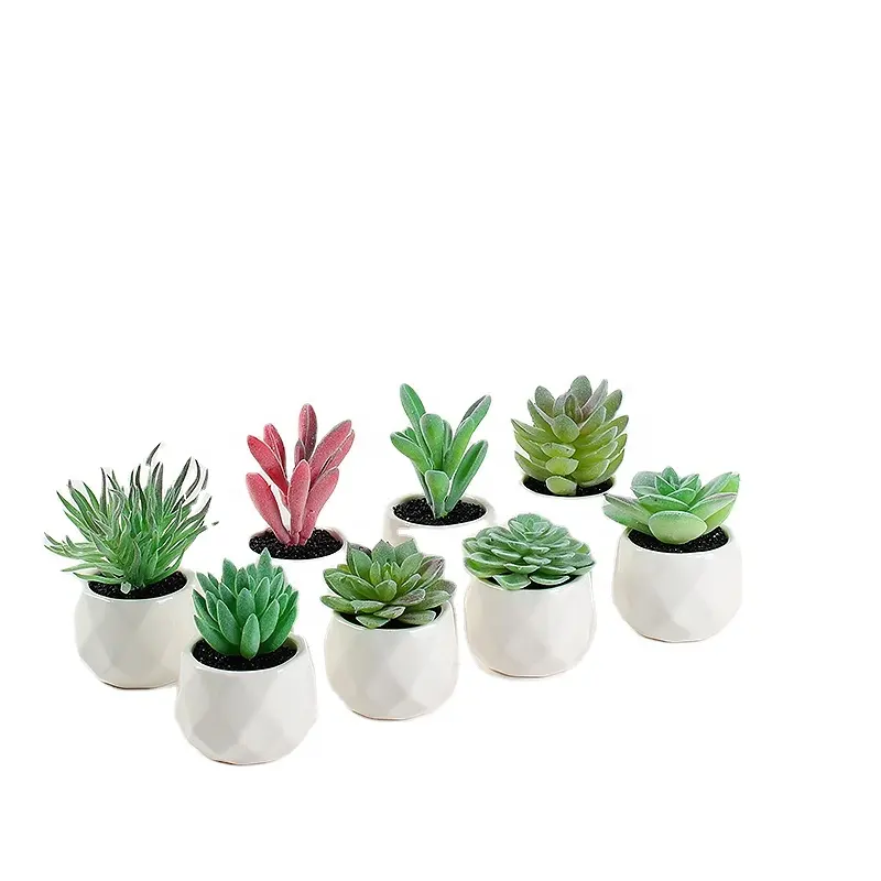 8 Mini bonsaï décoration de bureau, faux plastique artificiel, plantes succulentes en géométrie du pot en céramique de diamant, lot de 20 pièces