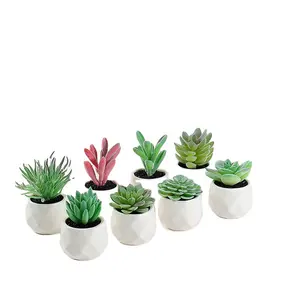 Set of 8 Mini Bonsai office decoration desktop faux artificial plastic succulent plants in Geometry of the diamond ceramics pot