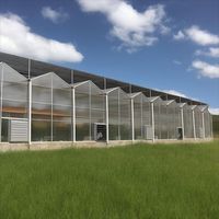 Grande serre agricole multi-travées en acier galvanisé Venlo avec panneaux en polycarbonate PC, kit d'emballage en conteneur de Chine
