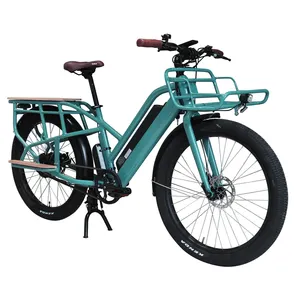 최신 모델 26 인치 전기 알루미늄 전기화물 자전거/화물 자전거
