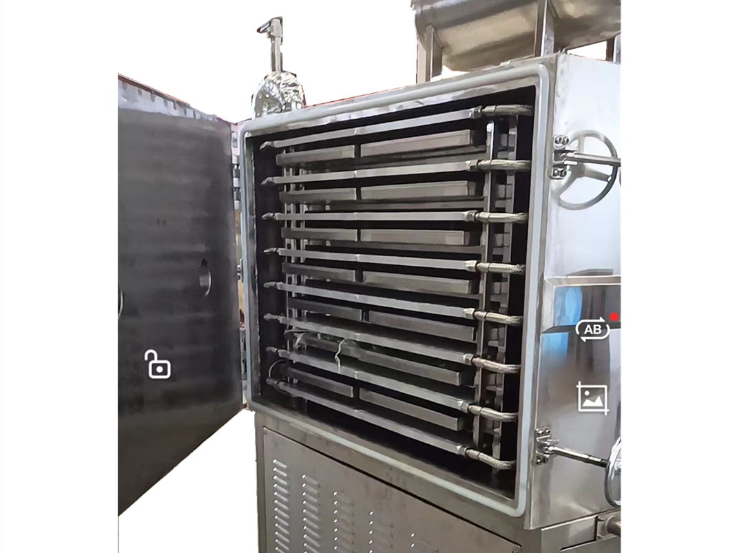 freeze dry fruit machine