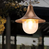 Lámpara Colgante Exterior Contemporánea LED Impermeable para Jardín, Patio, Puerta, Pasillo, Balcón