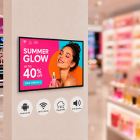 Alihh IPS Screen Digital Signage and Displays Publicité CMS 15.6 18.5 22 ''Indoor Advertising Equipment Monitor LED Backlight