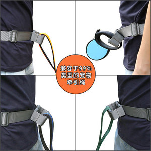 Cinturón de Correr con Correa para Mascotas de 60cm-130cm, Impermeable, para Entrenamiento de Perros, Paseos y Deportes al Aire Libre - Product Image 5