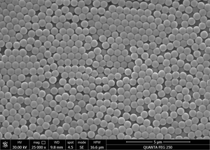 Microsphères fluorescentes résolvées dans le temps pour les applications de chromatographie par fluorescence - Product Image 6