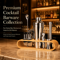 Ensemble de shaker à cocktails en acier inoxydable 304 de 750 ml, 12 pièces, avec support en bambou, logo personnalisé, kit d'outils de barman pour la maison, cadeau pour les fêtes