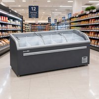 Congélateur d'îlot pour supermarché SnowVillageCommercial SD SC 718, 718 litres, température de congélation moins 18°C