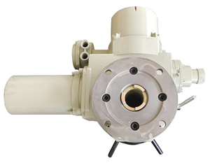 DZW-120-WK2 toàn cầu van Thiết bị truyền động điện nói chung ngành công nghiệp động cơ phanh bảo vệ nhiệt - Product Image 5