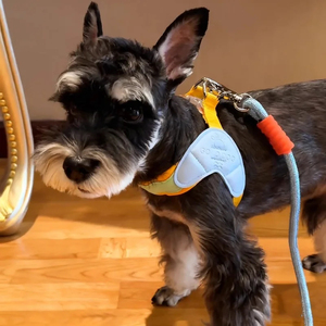 Pettorina Riflettente in Nylon per <span class=keywords><strong>Cani</strong></span>, Gilet Resistente per Cuccioli, Imbracatura da Passeggio per Animali Domestici, Regolabile per <span class=keywords><strong>Cani</strong></span> di Taglia Piccola, Media e Grande, anche per Pug - Product Image 1