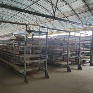 Jaulas Automáticas de Alta Calidad para Gallinas Ponedoras, Tipo H, Sistema de Jaulas de Batería Galvanizadas para Aves de Corral, Gallinero para Gallinas Ponedoras en Venta - Product Image 2