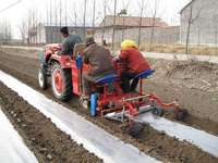 Planteur de pommes de terre pour tracteur/machine de plantation de pommes de terre/semoir de pommes de terre et fertilisation