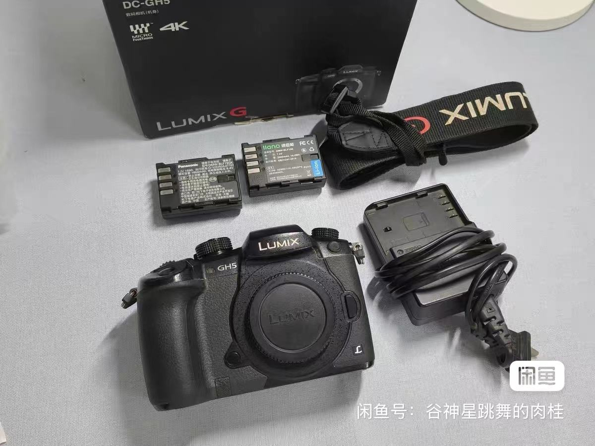 panasonic lumix g85 used