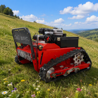 Mesin Pemotong Rumput Mini Crawler 550mm 4-Tak dengan Pisau Flail, Kendali Jarak Jauh, Berbahan Bakar Bensin, Robot RC untuk Lereng, Kebun, dan Pemotong Rumput