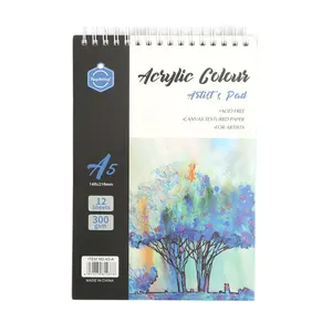 Gardez le sourire A5 12 feuilles 300gsm acrylique couleur artiste Pad peinture papier tampons dessin spirale carnet de croquis