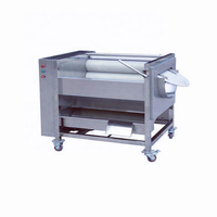 Pinda Aardappel Gember Borstel Wassen Cleaning Machine Groente/Fruit Wassen Verwerking Lijn Gemaakt In China