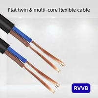 Câble plat flexible RVVB à double âme de 0,5 mm, 1,0 mm, 1,5 mm, 2,5 mm, fil de cuivre pour appareils électroménagers et éclairage LED