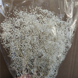 ดอกยิปโซฟิลลา (ดอกยิปโซ) แห้ง ประดิษฐ์ด้วยมือ สวยงาม น้ำหนัก 50 กรัม สำหรับตกแต่งโต๊ะยาว งานวันขอบคุณพระเจ้า และตกแต่งบ้าน ลดราคาจากโรงงาน - Product Image 2