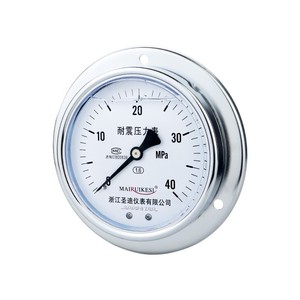 Custom-made axial-mounted M20*1.5 punched silicone oil shock-resistant pressure <b>gauge</b> YN100ZT - Product Image 1