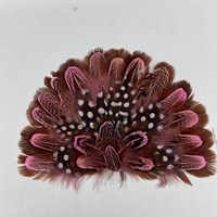 Plumes pour la décoration des chapeaux Fedora, accessoires de chapeau naturels assortis