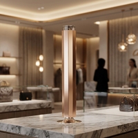 Diffuseur de parfum électrique à deux fluides pour hôtel de luxe et usage domestique, avec commande par application, éclairage LED à distance, capacité de 100 ml, conception sans eau