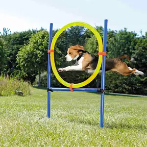 BunnyHiZA006犬の敏捷性トレーニングコース機器犬の敏捷性のためのプロの犬の敏捷性ジャンプリング