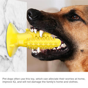 Jouets à mâcher pour chiens en forme de <span class=keywords><strong>cactus</strong></span> en caoutchouc durable Jouet pour chien sûr et environnemental - Product Image 2